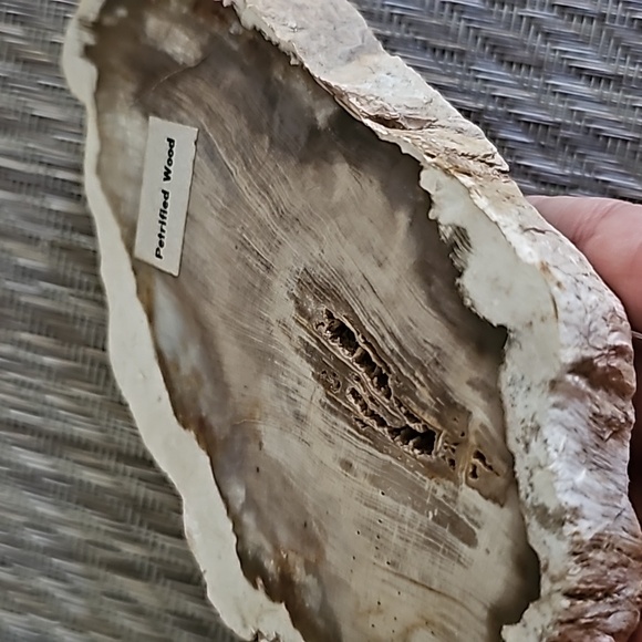DUSKY PETRIFIED WOOD Slice, Stone Plate, Petrified Wood - Picture 6 of 9
